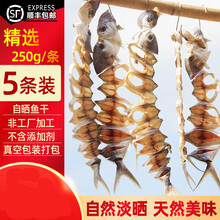 自晒金鲳鱼干 淡晒金昌鱼干 海鲜金仓鱼干 淡盐金枪鱼咸鱼干 湛江特产