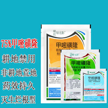 草忧愁 绿无影75%甲嘧磺隆甲嘧磺蕯甲密磺隆一年生杂草除草剂杀树剂除灌木公路铁路机场死根烂根寸草农药 10克*50袋