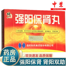 免配送费】修正强阳保肾丸 6g*6袋 腰腿酸痛补肾壮阳益肾精神疲倦早泄遗精阳痿遗精腰膝酸软肾阳虚Rx 10盒装