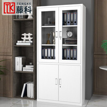 藤科 文件柜办公柜钢制铁皮柜资料柜档案柜财务室带锁储物柜铁柜子 大器械文件柜 经济型