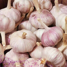 干蒜山东紫皮大蒜3/10斤蒜 3斤装