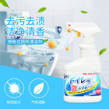 HeduRnie日本洁厕剂泡沫喷雾式马桶清洁剂去污渍去异味除垢剂洁厕液洁厕宝 2瓶装
