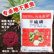 土虫丹根线虫专用药土虫净杀蚯蚓的药辛硫磷辛硫麟地下害虫颗粒剂 4000g