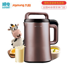 九阳（Joyoung）家用全自动豆浆机破壁机 多功能可预约破壁免滤无渣 DJ13R-P9