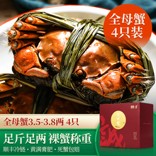 【活蟹】诚蟹一品 大闸蟹鲜活 全母蟹4只装 螃蟹生鲜现货特大 中秋国庆节日水产礼盒 全母蟹3.5-3.8两 4只