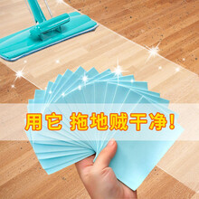 莘语 多效地板清洁片瓷砖清洁剂木地板家用清香拖地去污带香味 清洁片/30片装
