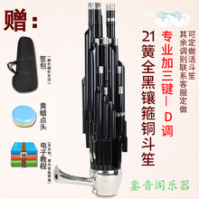 民乐演奏21簧加3键24簧加6键26簧加8键紫竹镶箍铜斗笙乐器专业 21簧全黑镶箍-加3键-D调（活斗或其余调别联系客