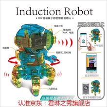 太阳能机器人DIY蜗牛发明科学益智拼装黑科技智力玩具六一节礼物 编程机器人（电池驱动）