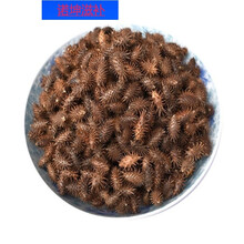 伟博中药材正宗野生苍耳苍耳子鼻苍耳毛苍子泡脚鼻炎专用 手选苍耳子 一斤