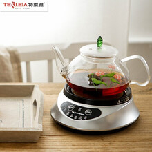 特莱雅（TERLEIA）养生壶 全自动加厚玻璃电热茶壶 多功能电热水壶迷你 花茶黑茶煮茶器0.75L HC75 钻石银