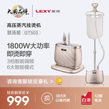 莱克（LEXY） 单杆蒸汽挂烫机 家用手持/挂式电熨斗GT503