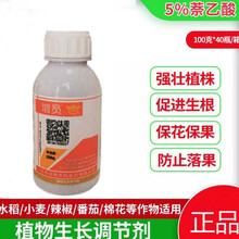 5%奈萘乙酸保花保果药果树番茄花卉植物生长调节剂促生长 100g