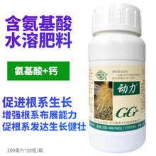 国光根动力大树移栽生根剂促根壮根微量元素肥浓缩肥料生根液新根 200ml