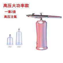 茹诗妮 小仙女注氧仪家用便捷式手持补水小型充电面部喷雾纳米喷枪美容院 大功率7.4V一套 2壶