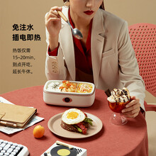 韩国大宇(DAEWOO)电热饭盒电加热保温饭盒电动蒸汽加热饭盒办公室全自动蒸煮饭神器便当盒学生饭盒 白色