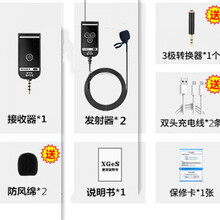 二胡笛子小提琴无线拾音器葫芦丝扩音器萨克斯古筝乐器麦克风话筒 一拖二笛子夹(音频输入AUX