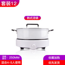 FEDAIR家用节能小型圆形电磁炉炒菜火锅多功能一体便捷迷你电池炉全套装 套餐12