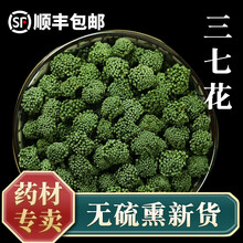 泽信堂 三七花茶 云南文山田七茶花 三七头花花草茶养生茶 三七花中药 100克