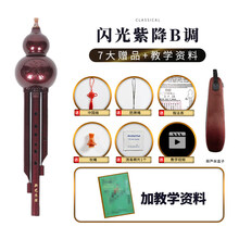葫芦丝 乐器 初学成人儿童学生初学者c调降b调自学入门胡芦丝 闪光紫降B调【赠送7大+资料】