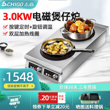 志高（CHIGO）商用电磁炉多头炉饭店用锡纸花甲六眼商业大功率多眼煲仔炉双眼四头电灶 【竖式两头炉】