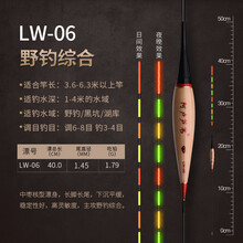 芦苇夜光漂日夜两用超亮无影鲫鱼电子漂醒目长浮漂抗流水鱼漂 LW-06(野钓综合)吃铅1.79克 咬钩变色(芦苇夜光漂)带电池