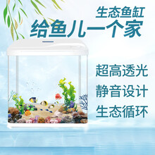 宠以沫（CHONG YIMO）桌面鱼缸自循环小型迷你桌面家用水族箱懒人免换水生态玻璃金鱼缸 24*17*28.5cm满配套餐