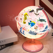 ar地球仪儿童玩具女孩生日礼物6-10女童5小女孩玩具7-14玩具四3-4-6岁九以上小学生礼物十岁  公主版地球仪【趣味讲解+小夜灯+世界地图