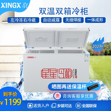 XINGX/星星 家用商用冰柜BCD-202GA双箱双温冷柜 微霜自动减霜一级节能右冷冻左冷藏雪柜 202升 白色双温 BCD-202GA