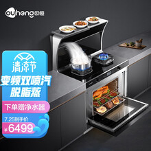 欧恒(OUHENG) E6变频双喷汽式集成灶蒸烤箱一体灶家用自动清洗侧吸下排式一体机 液化气