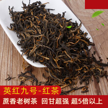 茗播老树红茶 2021年新茶叶英红九号 深山甘蔗香老树茶 英徳红茶 1斤装 功夫