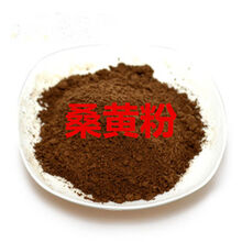 长白山金边桑黄粉100克 桑黄灵芝菌茶粉 中药材桑黄粉 500克