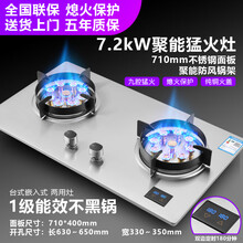 好太太煤气灶一级能效家用节能省电双灶台式嵌入式天然气液化气猛火鸳鸯熄火保护定时燃气灶 7.2KW不锈钢+熄保+双边定时 天然气