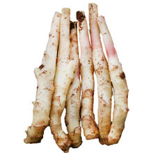 四川生姜仔姜新鲜子姜鲜姜红芽姜小仔姜当季农家现挖 中姜芽5斤