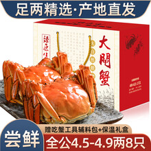 【活蟹】8只装臻原生阳澄湖六月黄大闸蟹鲜活螃蟹现货海鲜水产生鲜蟹类礼盒 全公蟹：4.5-4.9两（8只）