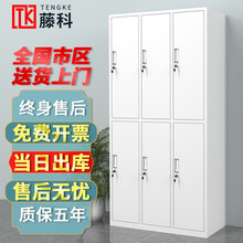 藤科 员工柜铁皮柜带锁储物柜宿舍更衣室柜子浴室寄存包柜 六门更衣柜 经济型
