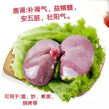 新鲜鹿肉里脊肉每日现杀新鲜细嫩东北特产滋补新鲜到家 2斤里脊+2斤排骨+腰子1对