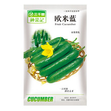 水果黄瓜种子地黄瓜无刺小黄瓜全雌系 节节有瓜 都市菜园阳台盆栽蔬菜种子基地大面积欧宝绿娃娃黄瓜籽 欧米蓝水果黄瓜20粒