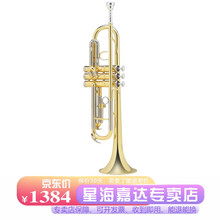 星海西洋管乐器 小号乐器XT-120型星海小号初学降B调小号 铜管乐器 成人儿童 学生考级学校乐团 原装款【配件齐全】