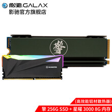影驰 擎256G512G1TB M.2 SSD NVME PCI-E台式机固态硬盘M.2硬盘 擎256G+星曜3000 8G