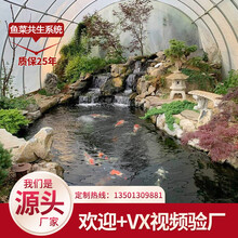 鲸榜鱼菜共生系统全自动化无土栽培生态餐厅水产循环新型复合耕作体养殖种植智能玻璃连体栋育苗温室大棚骨架 申经理热线13501309881