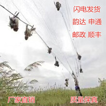 防鸟用网果园防鸟网葡萄大棚保护网隆鼎 6米长2米高【1.6网眼】单丝