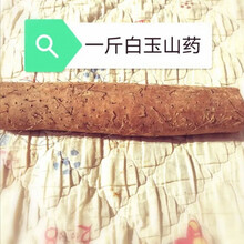 脆山药白玉山药粗大卢土山药菜淮山新鲜蔬菜产地直发整箱 白玉山药1斤