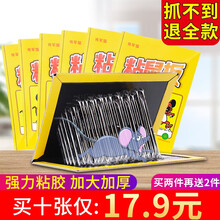 大号粘老鼠贴 超强力粘板粘鼠板非老鼠药物理 捕鼠器捉老鼠灭耗子贴 10张装