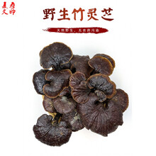 康中尊 野生云南竹灵芝林芝野生精选大朵紫芝整枝带柄散装1斤装500克