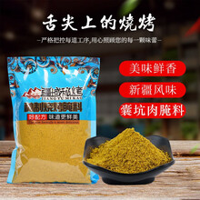 禧安骄新疆疆域秘烤烧烤腌料蘸料撒料孜然辣椒羊肉串挂糊料烧烤季调味料 馕坑肉腌料 500g/袋
