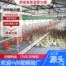 鲸榜养殖种植猪鸡鸭舍牛羊马圈蔬菜双薄膜钢管热镀锌骨支架家禽畜大棚智能玻璃温室配件全套设备定制花卉果树 蔬菜大棚