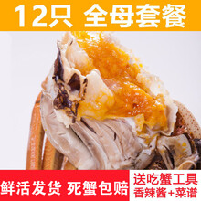 【活鲜】全母大闸蟹鲜活螃蟹活体特大现货礼盒装 塞红康尔 (全母2.8-2.3两)12只