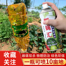 2021新品群蝇汇瓜果实蝇诱粘剂昆虫果蝇药黄板双面粘虫板针蜂引诱剂诱捕器 量大优惠