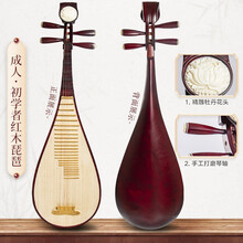 舒弗（LACHOUFFE）琵琶乐器演奏红木儿童成人考级初学者初学入门零基础民族乐器 成人初学红木琵琶(包+指甲+胶布+备用弦)