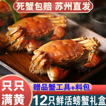 【活蟹】12只阳澄东湖大闸蟹鲜活螃蟹现货海鲜水产礼盒装 公6.0两+母5.0两（6对）